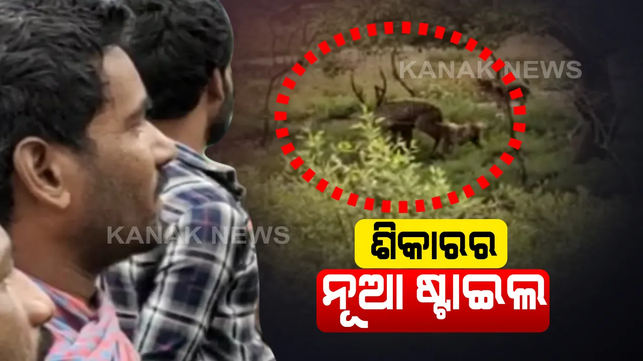  ଭିତର କନିକାରେ ହରିଣ ଶିକାରର ନୂଆ ତରିକା । ଜଙ୍ଗଲ ଭିତରେ ପୋଷାକୁକୁର ଲଗାଇ ନିରୀହ ଜନ୍ତୁକୁ ଶୀକାର କରୁଛନ୍ତି ଶୀକାରୀ : କର୍ତୃପକ୍ଷ ବେଖବର