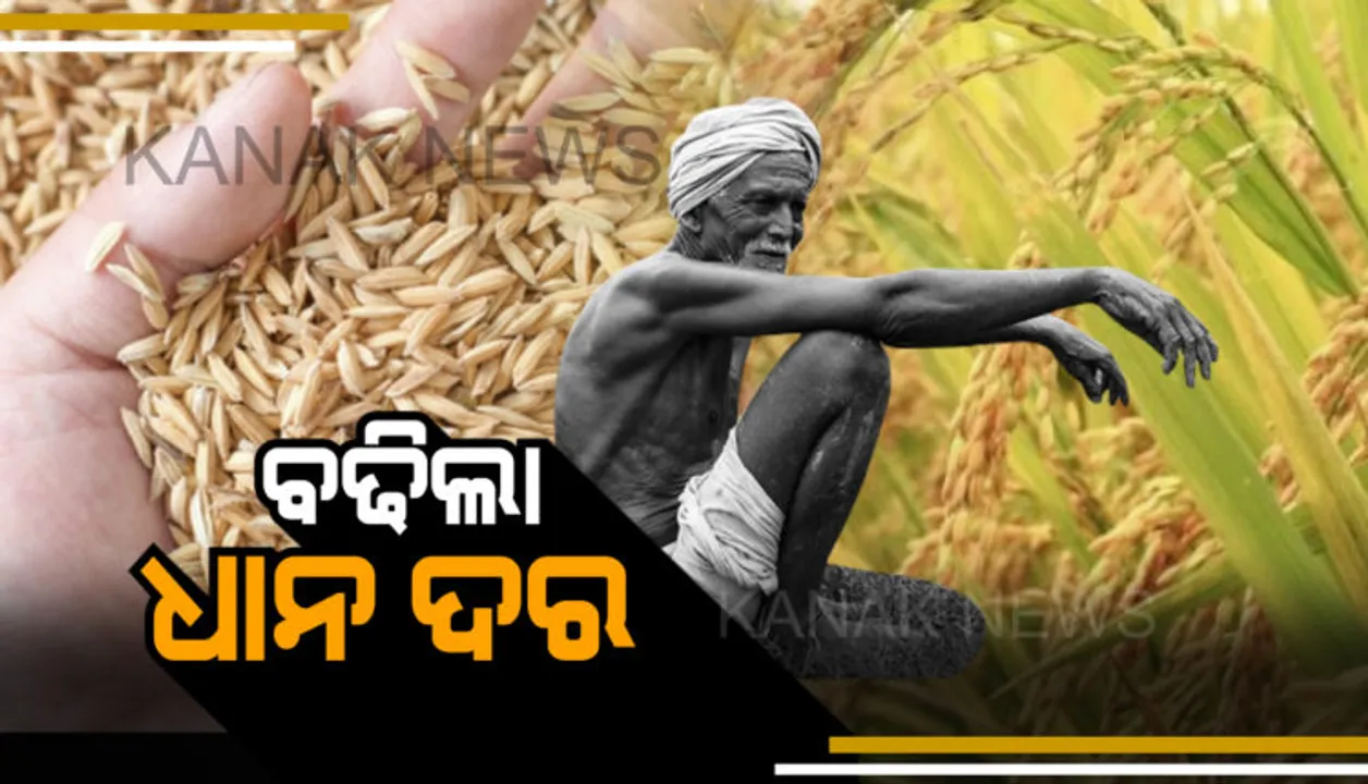  ବଢିଲା ଧାନର ସର୍ବନିମ୍ନ ସହାୟକ ମୂଲ୍ୟ : ୧୮୬୮କୁ  ବୃଦ୍ଧି ନେଇ କେନ୍ଦ୍ର କୃଷିମନ୍ତ୍ରୀଙ୍କ ସୂଚନା ।  ଧାନ ସହ ୧୪ଟି ଖାଦ୍ୟଶସ୍ୟ ମୂଲ୍ୟ ବଢାଇଲେ କେନ୍ଦ୍ର ସରକାର