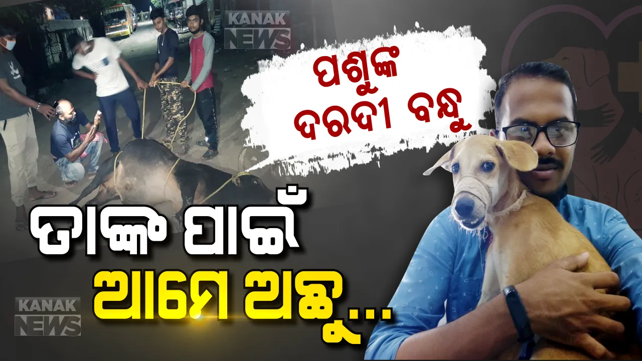  ତାଙ୍କ ପାଇଁ ଆମେ ଅଛୁ... ଆମେ ଥାଉ ଥାଉ କଷ୍ଟ ପାଇବେନି ନିରୀହ ପଶୁ । ପେଟ କଥା ବୁଝିବୁ, ଗୁରୁତର ହୋଇ ରାସ୍ତାରେ ପଡିଥିଲେ କୋଳେଇ ନେବୁ... ପଶୁଙ୍କ ପ୍ରତିଟି ଦୁଃଖ ବୁଝି ପ୍ରଶଂସା ସାଉଁଟିଲେ ଦରଦୀ ମଣିଷ