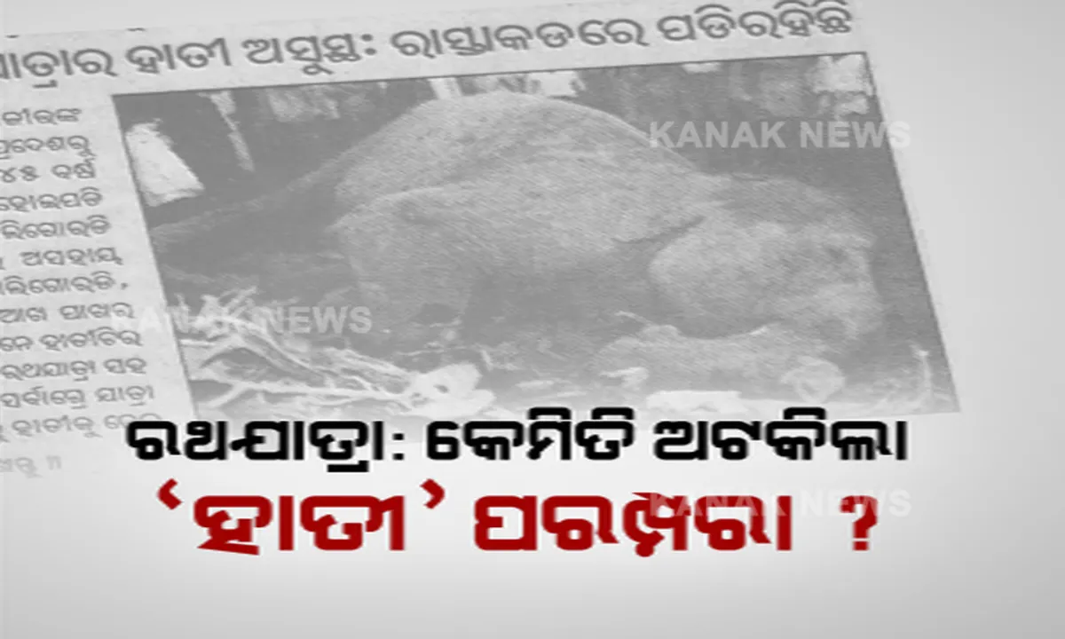  କେମିତି ପୁରୀ ରଥଯାତ୍ରାରେ ବନ୍ଦ ହେଲା ହାତୀ ସାମିଲ ହେବାର ପରମ୍ପରା? ୨୦୦୨ରେ ଉତ୍ତରପ୍ରଦେଶରୁ ଆସିଥିଲା ଲକ୍ଷ୍ମୀ ହାତୀ । ଏହାପରେ କ’ଣ ହୋଇଥିଲା? ପଢ଼ନ୍ତୁ ପୂରା କାହାଣୀ