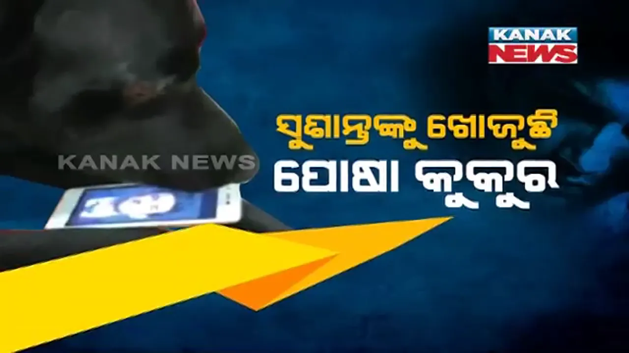  ସୁଶାନ୍ତଙ୍କ ଫେରିବା ବାଟକୁ ଚାହିଁ ବସିଛି ପୋଷା କୁକୁର ଫଜ୍ । ମୋବାଇଲରେ ମାଲିକକୁ ଖୋଜୁଛି, ବାଲକୋନିରୁ ବାରମ୍ବାର ଚାହିଁ ରହୁଛି ।