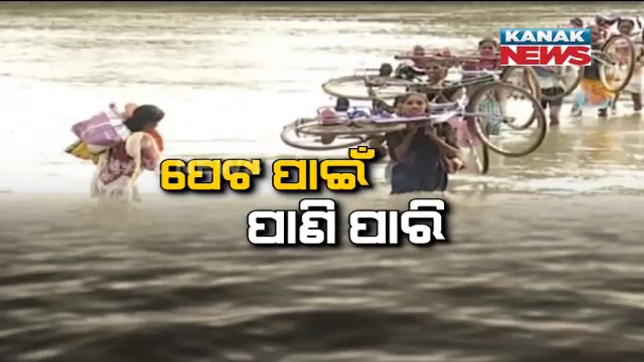  ପେଟ ପାଇଁ ବାଜିରେ ଲାଗିଛି ଜୀବନ । ନଦୀରେ ବିପଦଜନକ ଜଳଯାତ୍ରା କରୁଛନ୍ତି ଲୋକେ, ତାଲାବନ୍ଦ ଯୋଗୁଁ ଡଙ୍ଗା ଚଳାଚଳ ବନ୍ଦ । ମୁଣ୍ଡରେ ସାଇକେଲ ବୋହି ପାରି ହେଉଛନ୍ତି ଭରା ନଈ ।