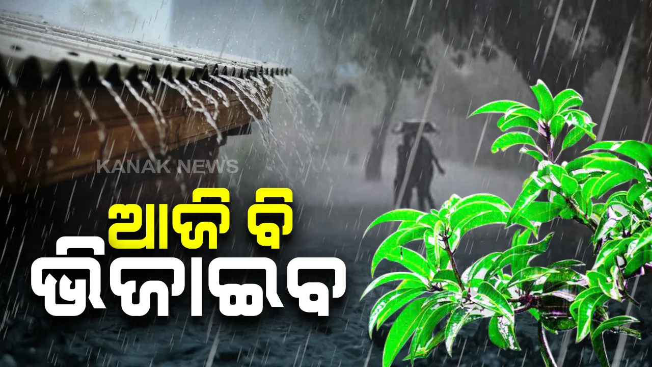  ଆହୁରୀ ୨୪ ଘଂଟା ଛେଚିବ: ଲଘୁଚାପ ପ୍ରଭାବରେ ରାଜ୍ୟର ୩ ଜିଲ୍ଲାରେ ଆଜି ପ୍ରବଳରୁ ଅତି ପ୍ରବଳ ବର୍ଷା ସମ୍ଭାବନା; ୪୦ରୁ ୫୦ କିମି ବେଗରେ ବହିପାରେ ପବନ