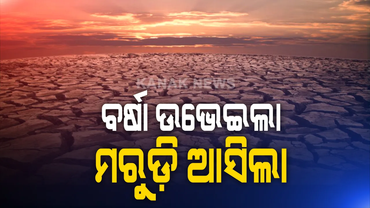  ଶ୍ରାବଣ ଶେଷ, ବର୍ଷା କରୁଛି ନିରାଶ । ମରୁଡ଼ି ଆଡକୁ ମୁହାଁଉଛି ଓଡ଼ିଶା, ବର୍ଷା ନହେଲେ ସାଂଘାତିକ ହୋଇପାରେ ସ୍ଥିତି ।
