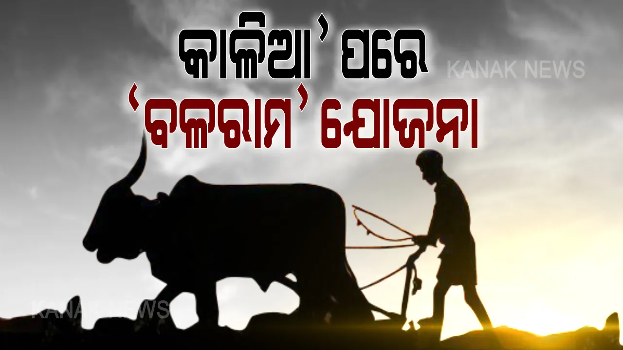  'କାଳିଆ' ପରେ ଆସିଲା 'ବଳରାମ' ଯୋଜନା । ଭୂମିହୀନ ଚାଷୀଙ୍କୁ କୃଷି ଋଣ ଯୋଜନା ପାଇଁ ନୂଆ ପ୍ରୟାସ, ୧ ହଜାର ୪୦ କୋଟିର ଋଣ ଯୋଗାଣ ଲକ୍ଷ୍ୟ, ଉପକୃତ ହେବେ ୭ ଲକ୍ଷ ଚାଷୀ । 