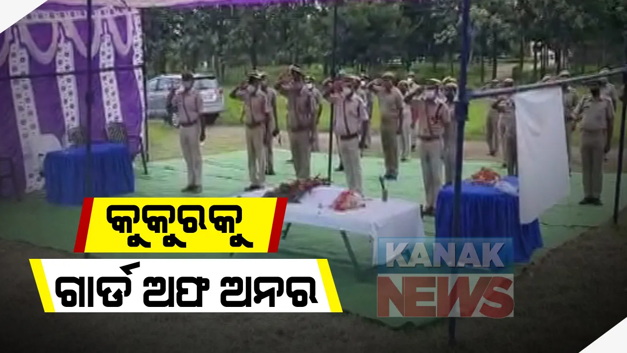 କୁକୁରକୁ ଗାର୍ଡ ଅଫ ଅନର । ପୁଲିସରେ ସାମିଲ ହୋଇ ଦୀର୍ଘଦିନ ସେବା ଯୋଗାଇଆସିଥିବା ମୃତ କୁକୁରକୁ ଭିନ୍ନ ଢଙ୍ଗରେ ବିଦାୟ ଦେଲା ନବରଙ୍ଗପୁର  ପୁଲିସ