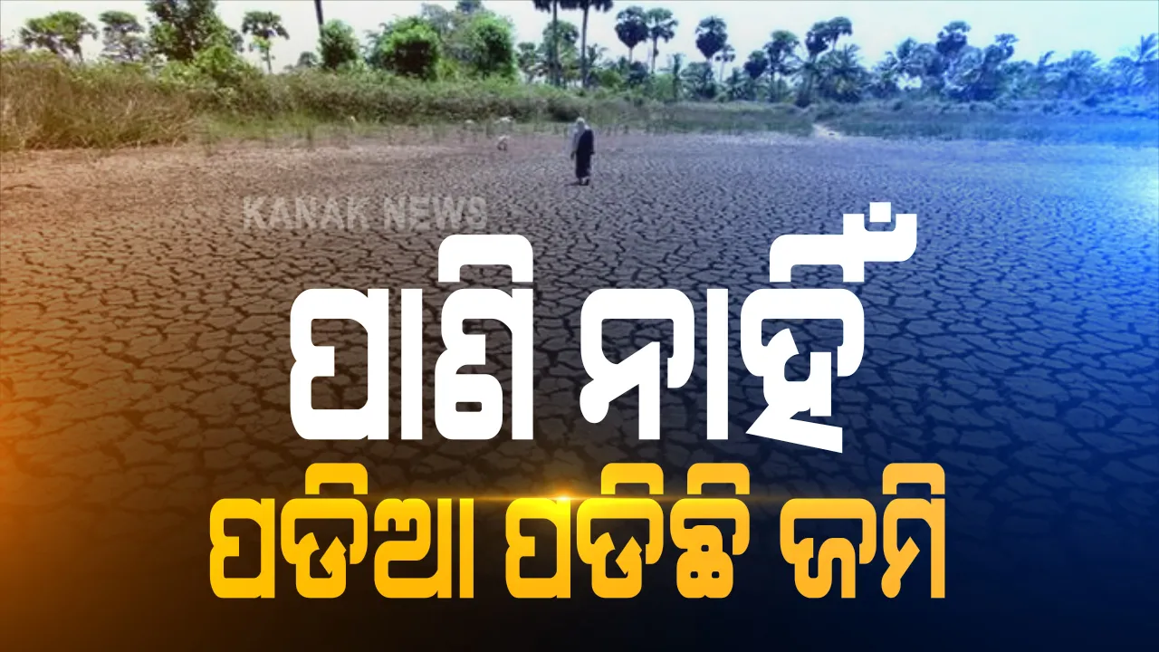  ପାଣି ନାହିଁ ପଡିଆ ପଡିଛି ଜମି । ରାଜ୍ୟର ଅଧିକାଂଶ ଜିଲ୍ଲାରେ ବର୍ଷା ଅଭାବରୁ ପଛେଇ ଯାଇଛି ଖରିଫ ଚାଷ, ବାଲେଶ୍ୱର ବସ୍ତାରେ ଜଳିଗଲାଣି ଧାନ ତଳି, ଫାଟି ଆଁ କରିଛି ରୁଆ ବିଲ ।