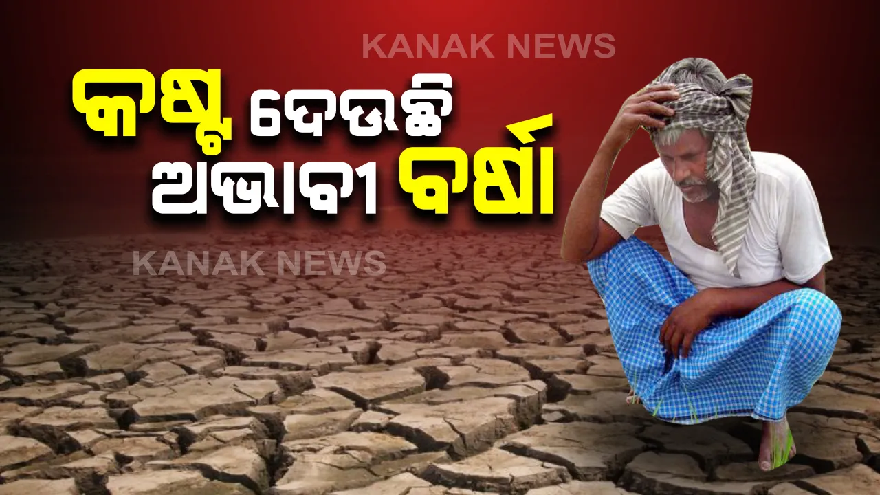  ଚାଷୀଙ୍କୁ କରୋନା ଠାରୁ ଅଧିକ କଷ୍ଟ ଦେଉଛି ଅଭାବୀ ବର୍ଷା : ପାଣି ନଥିବାରୁ କେନ୍ଦ୍ରାପଡା ରାଜକନିକାରେ ଶୁଖି ଗଲାଣି ତଳି ଜମି; ପଡିଆ ପଡିଛି ହଜାର ହଜାର ହେକ୍ଟର ଜମି