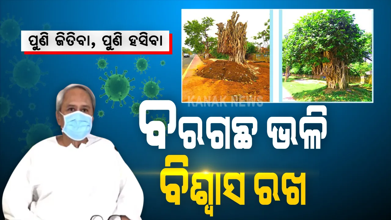  ଆସ ବରଗଛ ହେବା, ବିଜୟ ଆଣିବା... କରୋନା ବେଳେ କାହିଁକି ବରଗଛ କାହାଣୀ କହିଲେ ମୁଖ୍ୟମନ୍ତ୍ରୀ ? ଫନି ବେଳେ ଉପୁଡି ପଡିଥିବା ବୁଢା ବରଗଛ ଦେଉଛି କି ବାର୍ତ୍ତା ? ଜାଣନ୍ତୁ ବରଗଛ ପଛର ବଡ କାହାଣୀ...