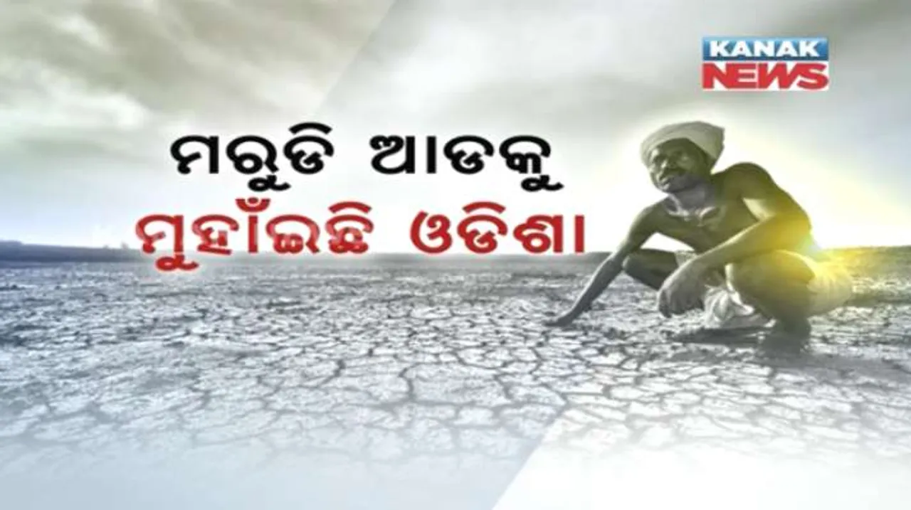  କରୋନା ଭିତରେ ଚାଷୀଙ୍କୁ ଘାରିଛି ମରୁଡି ଚିନ୍ତା: ରାଜ୍ୟର ୧୧ ଜିଲ୍ଲାରେ କମ ବର୍ଷା ଯୋଗୁ ମରୁଡି ଆଶଙ୍କା; ପୁରୀ ଓ କେନ୍ଦ୍ରାପଡାରେ ସ୍ଥିତି ଗମ୍ଭୀର