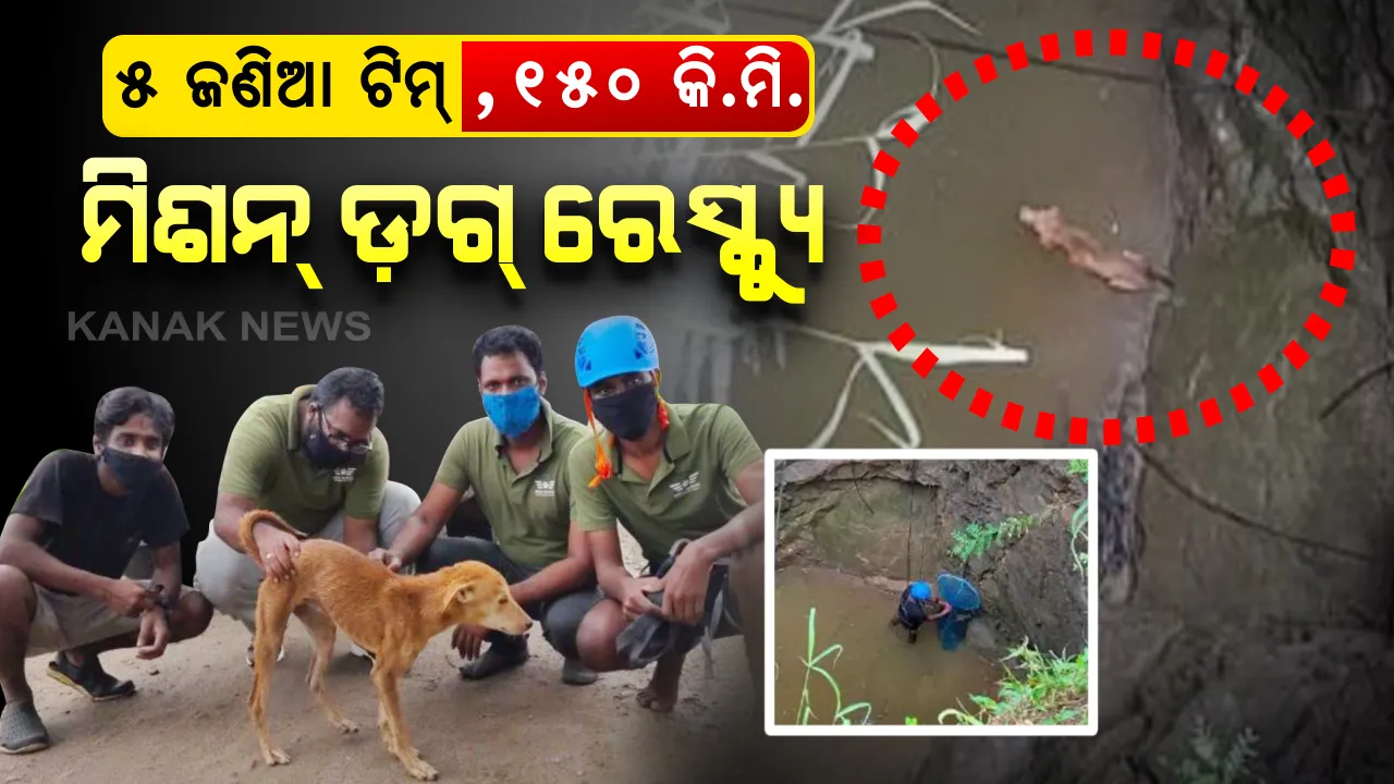  ମୂଲ୍ୟବାନ କୁକୁର ଜୀବନ : ଗଭୀର କୂଅରେ ଗଳିପଡ଼ିଥିଲା କୁକୁର , କୁକୁରକୁ ଉଦ୍ଧାର କରିବା ପାଇଁ ଗାଡ଼ି ଭଡ଼ା କରି ୧୫୦ କି.ମିରୁ ଆସିଲେ ୫ ଜଣିଆ ଟିମ୍ । ବଂଚାଇଲେ ନିଷ୍ପାପ ପଶୁର ଜୀବନ । କୁକୁର ଆଖିରୁ ଝରିଲା ଧନ୍ୟବାଦର ଅଶ୍ରୁ , ଦେଖନ୍ତୁ ଭିଡ଼ିଓ