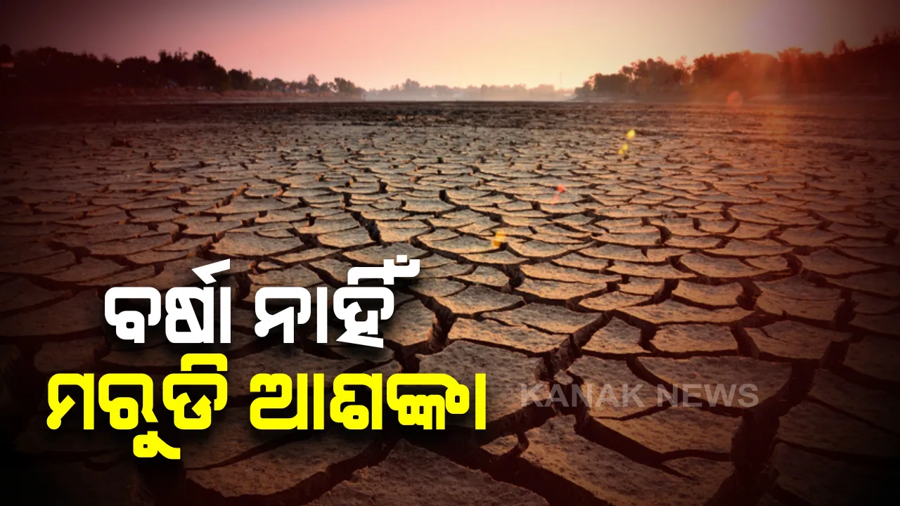  ବର୍ଷା ଅଭାବରୁ ଗୋପରେ ଗଜା ମରୁଡି ଆଶଙ୍କା । ଖରା ଯୋଗୁଁ ଚାଷ ଜମି ଫାଟି ଆଁ କଲାଣି । ପୋଡି ଗଲାଣି ତଳି । ଚିନ୍ତାରେ ଚାଷୀ । 