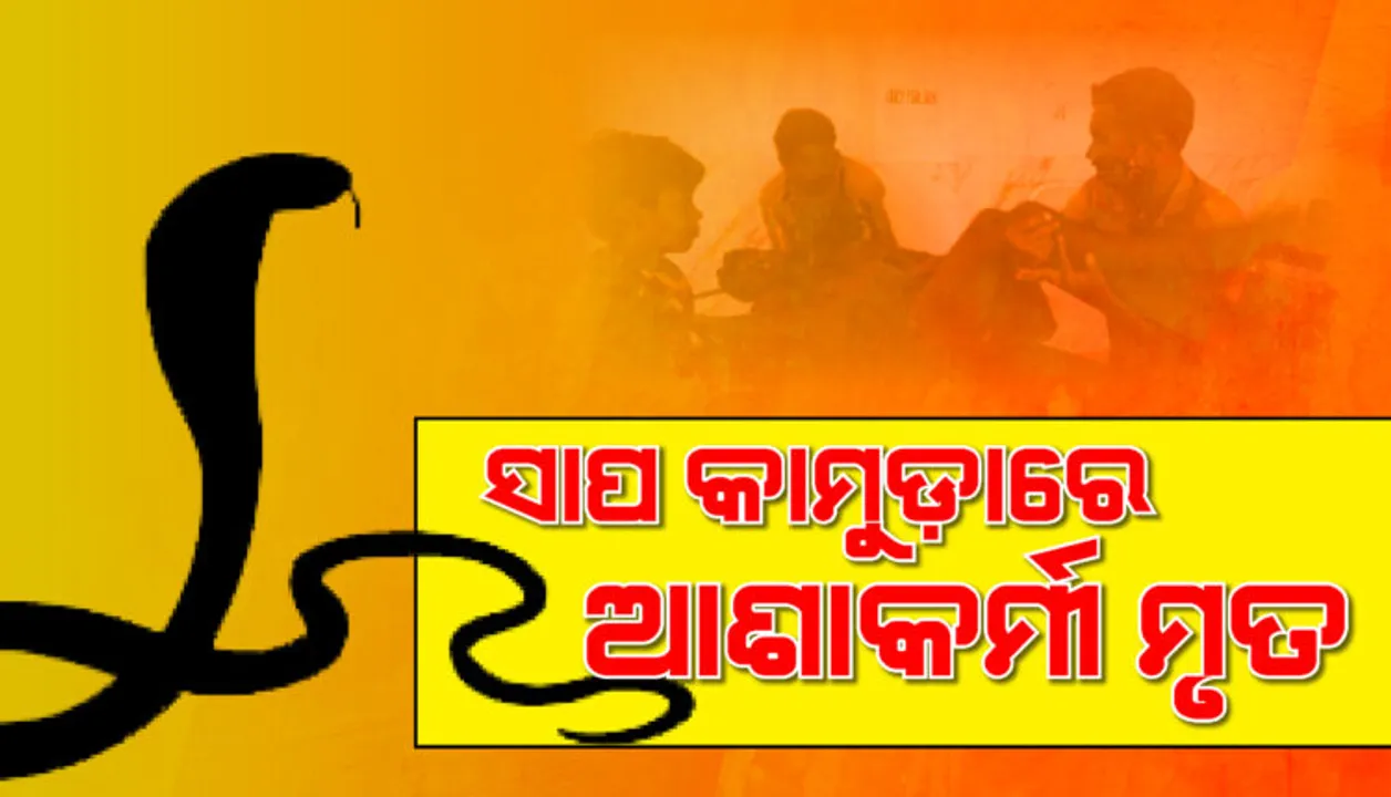 ରାତିରେ ଶୋଇଥିବା ବେଳେ କାମୁଡ଼ିଦେଲା ବିଷଧର ସର୍ପ । ଡାକ୍ତରଖାନା ନେବା ରାସ୍ତାରେ ଆଶାକର୍ମୀ ମୃତ