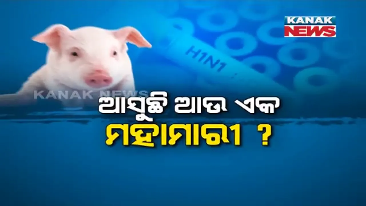  ଆସୁଛି ଆଉ ଏକ ମହାମାରୀ . . . ସାରା ବିଶ୍ୱକୁ କରୋନା ଡରାଉଥିବା ବେଳେ ଆଉ ଏକ ମହାମାରୀ ଆସିବା ଆଶଙ୍କା । ଚୀନରେ ଠାବ ହେଲା ସ୍ୱାଇନ ଫ୍ଲୁ ଭାଇରସର ଏକ ନୂଆ ଷ୍ଟ୍ରେନ । ତୁରନ୍ତ ନିୟନ୍ତ୍ରଣ ନହେଲେ କରୋନା ଠାରୁ ହୋଇପାରେ ଅଧିକ ଭୟଙ୍କର
