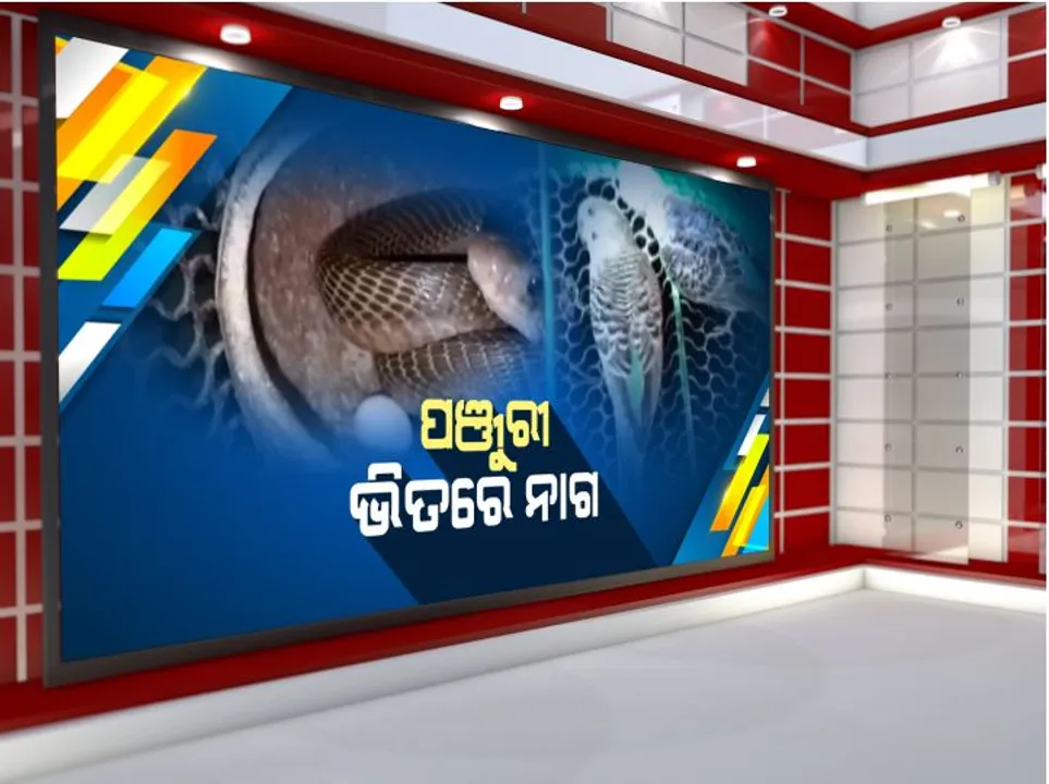  ପଞ୍ଜୁରୀ ଭିତରେ ନାଗ : ବାଙ୍କୀ ରଗଡି ଗାଁରେ ଚଢେଇ ଖାଇବାକୁ ଆସି ପଞ୍ଜୁରୀରେ ଫଶିଲା ନାଗ; ସ୍ନେକ ହେଲପଲାଇନ ସଦସ୍ୟ କଲେ ଉଦ୍ଧାର