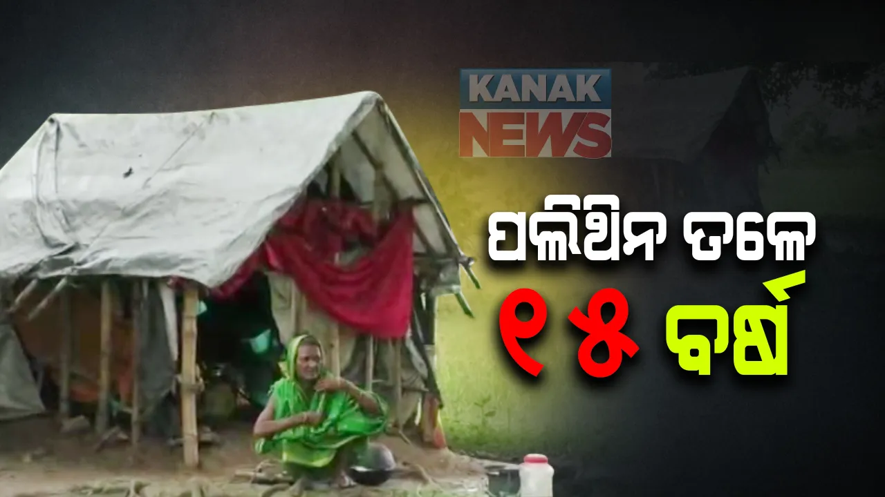  ଅସହାୟ ବୃଦ୍ଧାଙ୍କ ଉପରେ ପଡୁନି ପ୍ରଶାସନର ଶୁଭ ନଜର: ଘର ନାହିଁ, ଗଛ ମୁଳେ ପଲିଥିନ ତଳେ ବିତିଲାଣି ୧୫ବର୍ଷ