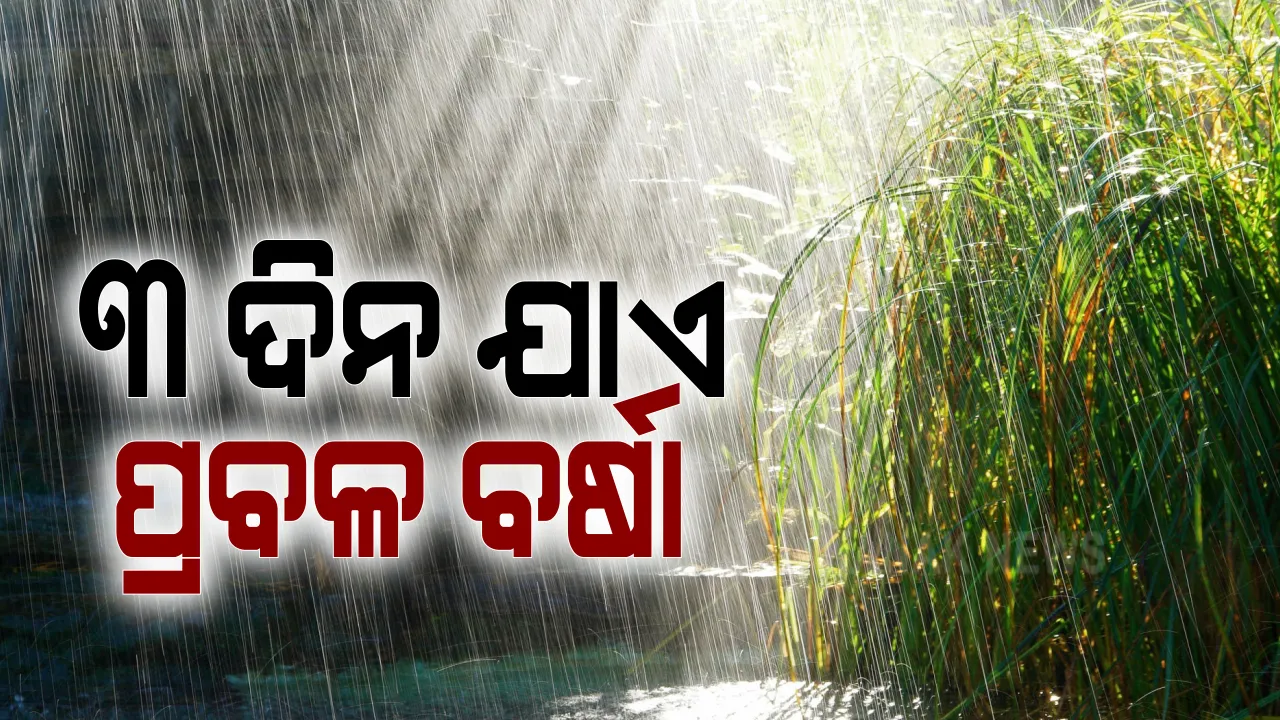  ରାଜ୍ୟରେ ଆସନ୍ତା ୩ ଦିନ ଯାଏ ପ୍ରବଳ ବର୍ଷା : ୟେଲୋ ୱାର୍ଣ୍ଣିଂ ଜାରି କଲା ଆଞ୍ଚଳିକ ପାଣିପାଗ କେନ୍ଦ୍ର