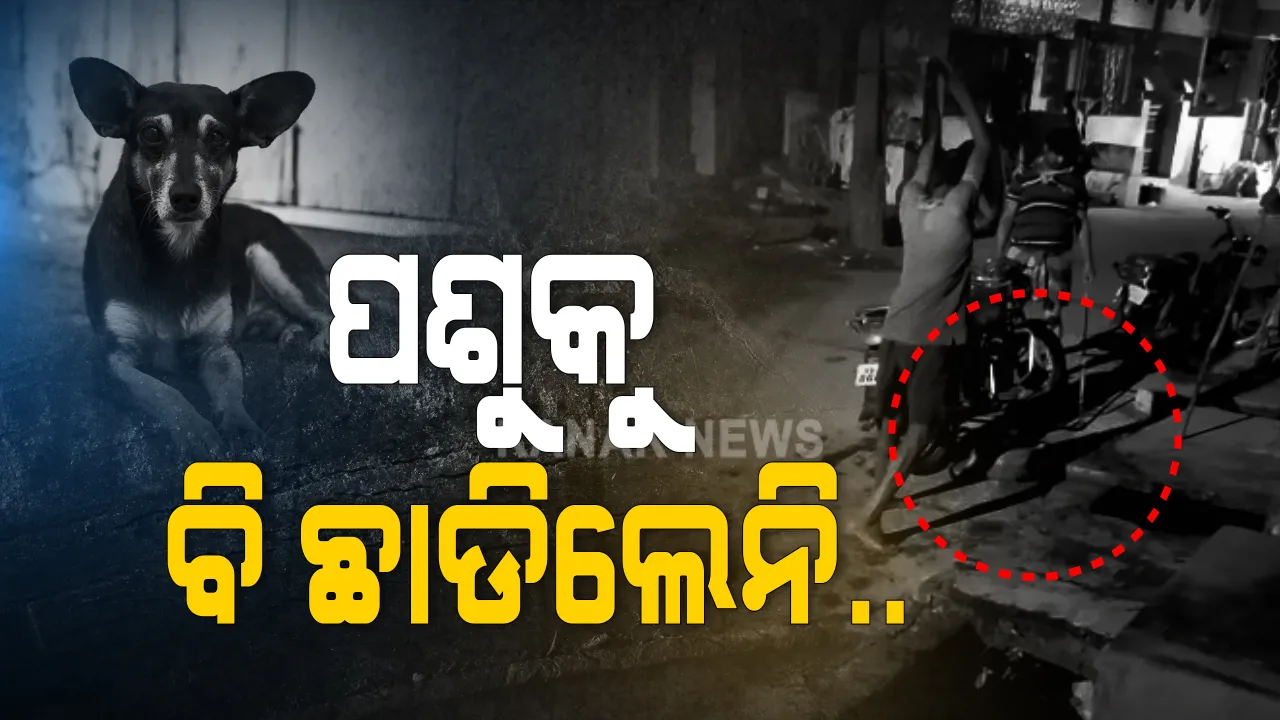  କୁକୁରକୁ ନିର୍ମମ ଭାବେ ପିଟି ପିଟି ହତ୍ୟା ଅଭିଯୋଗ । ଭାଇରାଲ ହେଲା ଭିଡିଓ, ଗଜପତି ପାରଳାଖେମୁଣ୍ଡିର ୩ ଜଣଙ୍କ ନାଁରେ ମାମଲା ରୁଜୁ