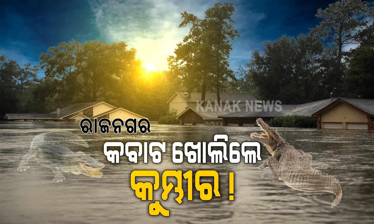  ଲଗାଣ ବର୍ଷା ଯୋଗୁଁ ଗାଁ ଦାଣ୍ଡରେ ଜମୁଛି ପାଣି । କବାଟ ଖୋଲିଲେ କୁମ୍ଭୀର ଭୟ, ଘରୁ ବାହାରିବାକୁ ଡରୁଛନ୍ତି କେନ୍ଦ୍ରାପଡ଼ା ଜିଲ୍ଲା ରାଜକନିକା ଅଂଚଳର ଲୋକେ, ଏପଟେ ରାଜନଗରରେ ବର୍ଷା ପାଣିରେ ବୁଡି ନଷ୍ଟ ହେବାକୁ ବସିଲାଣୀ ଚାଷୀର ଫସଲ ।