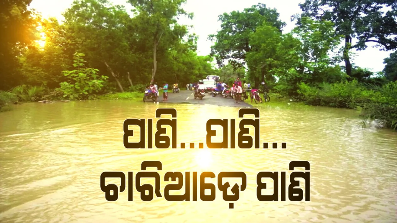  ଚାଷଜମିରେ ନଦୀର ଭ୍ରମ । କୋରାପୁଟ ବୋରିଗୁମ୍ମା ବ୍ଲକରେ ବର୍ଷା ପାଣିରେ ଏକର ଏକର ଜମିରେ ମାଡିଗଲା ପାଣି