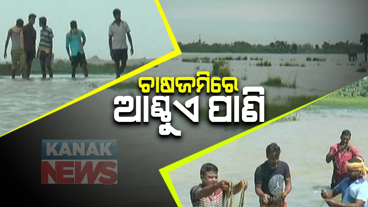  ନିଷ୍କାସିତ ହୋଇପାରୁନି ଚାଷଜମିରୁ ପାଣି । ନଦୀକୁ ସଂଯୋଗ କରୁଥିବା ନାଳକୁ ଅବରୋଧ କଲେ ଗାଁ ଲୋକେ । ଅସ୍ତରଙ୍ଗ କାକଟରୁ ଶହ ଶହ ଏକ ଜମିରେ ଜମିଛି ଆଣ୍ଠୁଏ ପାଣ । ଦୁଇ ଗାଁ ମୁହାଁମୁହିଁ