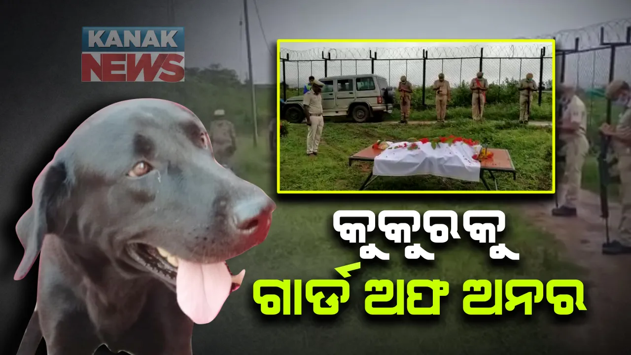  କୁକୁରକୁ ଗାର୍ଡ ଅଫ ଅନର : ୪ ବର୍ଷ ଧରି ମାଲକାନଗିରି ପୁଲିସରେ ନିରନ୍ତର ସେବା କରୁଥିଲା ସନ୍ଧାନୀ କୁକୁର । ଓଡିଶା ପୁଲିସ ଦେଲା ଶେଷ ସମ୍ମାନ