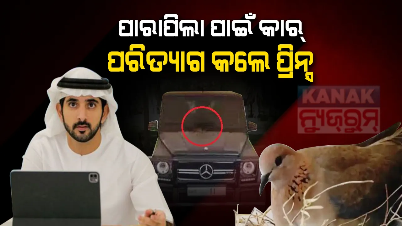  ମାନବିକତାର ମିଶାଲ୍ ଦେଲେ ଦୁବାଇର କ୍ରାଉନ୍ ପ୍ରିନ୍ସ : ପାରା ପରିବାର ପାଇଁ ପରିତ୍ୟାଗ କଲେ ପ୍ରିୟ ଗାଡ଼ି । ସଲାମ୍ କଲା ସୋସିଆଲ୍ ମିଡ଼ିଆ ।