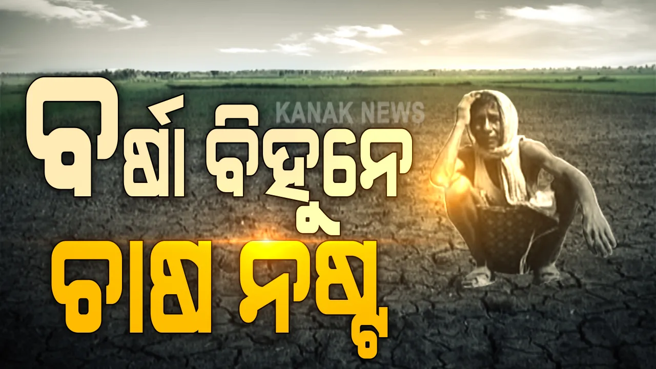  ଚାଷୀଙ୍କ ପାଇଁ ଖୁସି ଖବର, ବର୍ଷା ଆଣିବ ଆଶ୍ୱସ୍ତି । ଆସନ୍ତା ୪ ତାରିଖରେ ଉତ୍ତର ବଙ୍ଗୋପସାଗରରେ ଲଘୁଚାପ ସମ୍ଭାବନା, ସାରା ଓଡ଼ିଶାରେ ପ୍ରବଳ ବର୍ଷା ପୂର୍ବାନୁମାନ । ଏପଟେ ରାଜ୍ୟର ୧୩ ଜିଲ୍ଲାରେ ସ୍ୱାଭାବିକ୍ ଠାରୁ କମ୍ ବର୍ଷା ଯୋଗୁଁ ଚିନ୍ତାରେ ଚାଷୀ ।
