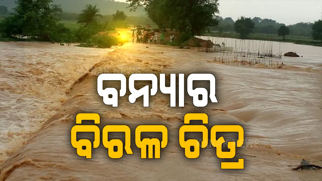  ବାଲିପାଟଣାରେ ବନ୍ୟା । ୫ ପଂଚାୟତ ପ୍ରଭାବିତ, କୃଷ୍ଣପୁର ପୋଲ ଉପରେ ଚାଲିଛି ପାଣି