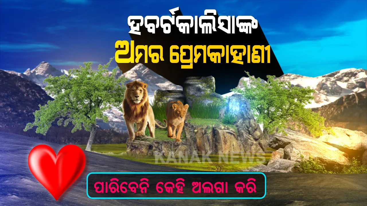  ପାରିବେନି କେହି ଅଲଗା କରି । ପ୍ରେମରେ ଅମର ହୋଇଗଲେ ହବର୍ଟ ଓ କାଲିସା । ରୋଗ ଓ ଯନ୍ତ୍ରଣାସିକ୍ତ ଜୀବନରୁ ମିଳିଗଲା ମୁକ୍ତି । ଏକସଙ୍ଗେ ଦୁନିଆକୁ ଅଲବିଦା କହିଲେ ସିଂହସିଂହୀ