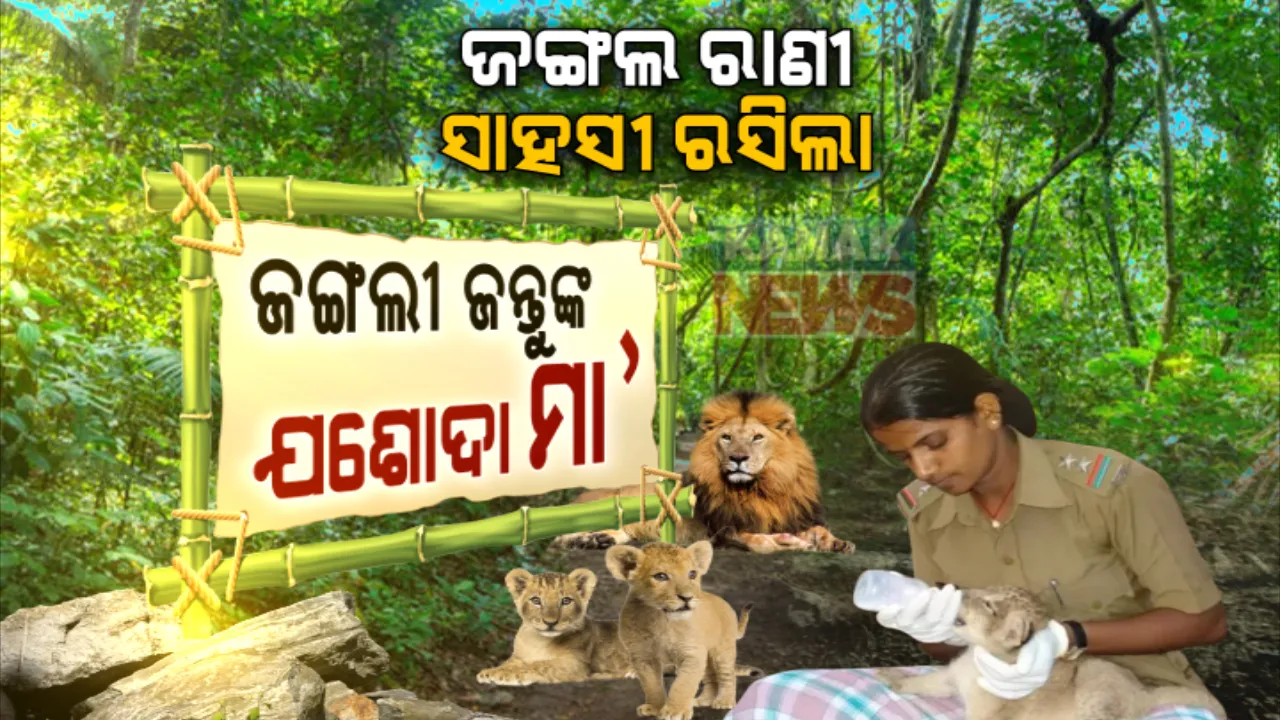  ଜଙ୍ଗଲୀ ଜୀବଜନ୍ତୁଙ୍କ ଯଶୋଦା ମା’ । ରାତିଦିନ ଏକ କରି ସେବା କରୁଛନ୍ତି ରସିଲା ମହିଳା ବନରକ୍ଷକ । ୧୦୦୦ରୁ ଉର୍ଦ୍ଧ୍ୱ ପ୍ରାଣୀଙ୍କୁ ଦେଇସାରିଛନ୍ତି ନୂଆ ଜୀବନ