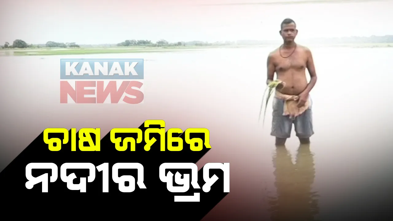  କେନ୍ଦ୍ରାପଡାରେ ଚାଷ ଜମି ସୃଷ୍ଟି କରୁଛି ନଦୀର ଭ୍ରମ : ବର୍ଷା ପାଣିରେ ବୁଡିଛି ଶହ ଶହ ହେକ୍ଟର ଧାନ ଫସଲ, ହୋଇପାରୁନି ଜଳ ନିଷ୍କାସନ; ଚିନ୍ତାରେ ଚାଷୀ