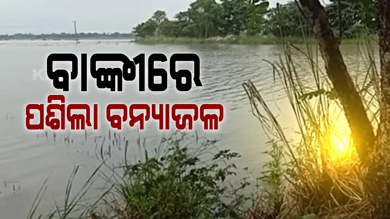  ଲଗାଣ ବର୍ଷା ଯୋଗୁଁ ବନ୍ୟା ପରିସ୍ଥିତି : ବାଙ୍କୀରେ ପଶିଲା ମହାନଦୀର ପ୍ରଥମ ବନ୍ୟାଜଳ, ତାଳବସ୍ତ ଓ ବାଲିପଡାରୁ  ବାଙ୍କୀ  ଯୋଗାଯୋଗ ବିଚ୍ଛିନ୍ନ; ହେକ୍ଟର ହେକ୍ଟର ଧାନ ଓ ପରିବା ଫସଲ ନଷ୍ଟ 