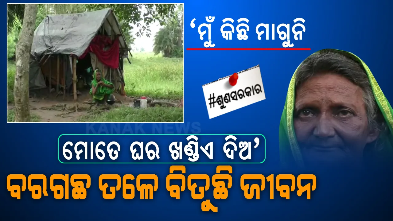  ମୁଣ୍ଡ ଗୁଞ୍ଜିବାକୁ ନାହିଁ ଛାତ, ବରଗଛ ତଳେ ଜୀବନ କାଟୁଛନ୍ତି ବାସନ୍ତୀ । ଯନ୍ତ୍ରଣାର ବୋଝ ବଢାଇଛି ଝିଅର ମାନସିକ ବିକାରଗସ୍ତ ରୋଗ । ଫଟା ପଲିଥିନ ତଳୁ ୧୫ବର୍ଷ ହେଲାଣି ସାହାଯ୍ୟ ବାଟକୁ ଚାହିଁ ରହିଛନ୍ତି ବାସନ୍ତୀ ।