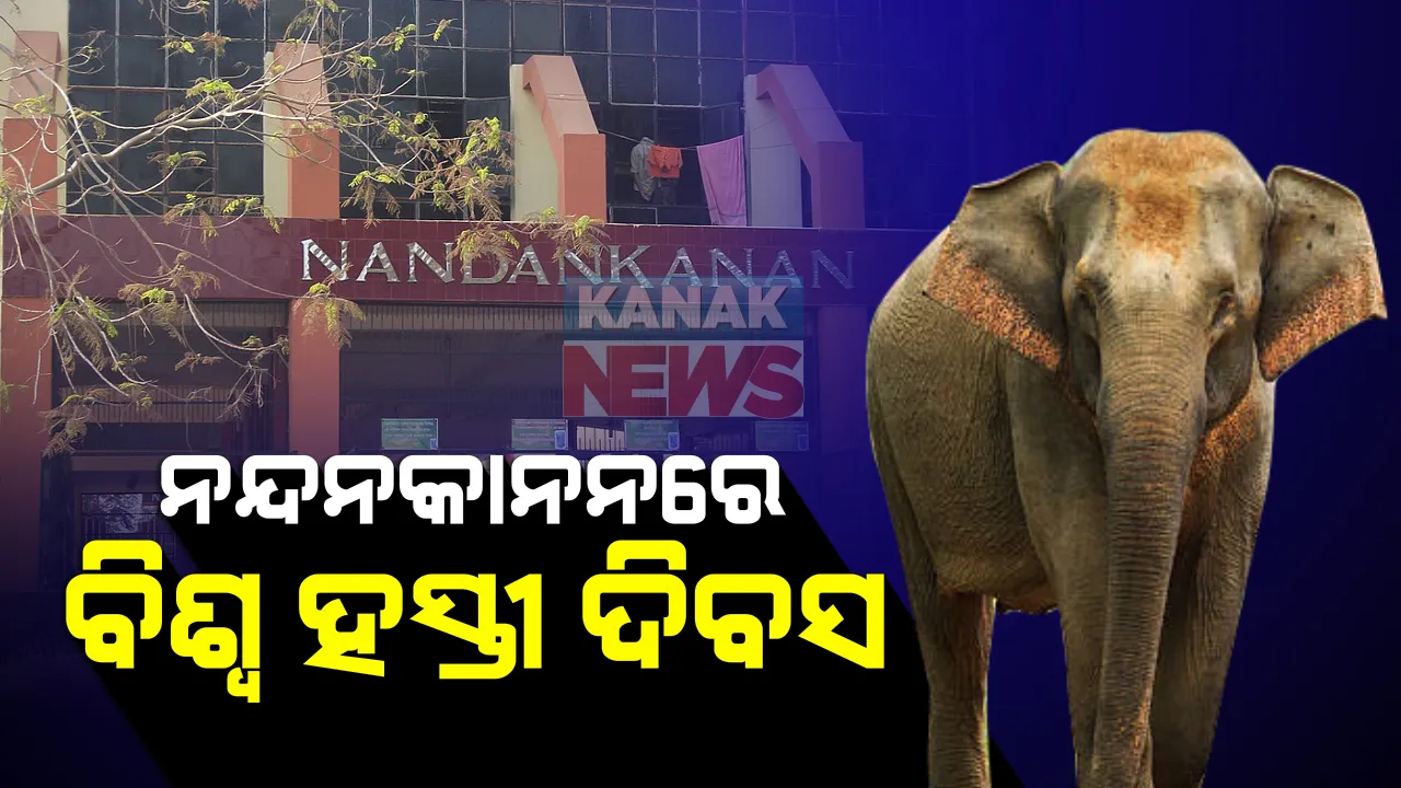  ନନ୍ଦନକାନନରେ ପାଳନ ହେଲା ବିଶ୍ୱ ହସ୍ତୀ ଦିବସ : ହାତୀଙ୍କୁ ଫଳ ଖୁଆଇ ଉତ୍ସବ ମନେଇଲେ ଅଧିକାରୀ; ଏଥର କରୋନା କାରଣରୁ ସାଧାରଣ ଦର୍ଶକଙ୍କ ପାଇଁ ବନ୍ଦ ରହିଛି ଚିଡିଆଖାନା