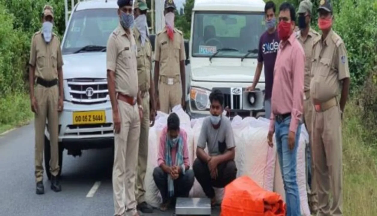  ଚୋରାଚାଲାଣ ବେଳେ ୩୦ ଲକ୍ଷ ଟଙ୍କାର ଗଞ୍ଜେଇ ଜବତ : ଗାଡ଼ି ମାଲିକ ଓ ଚାଳକ ଗିରଫ