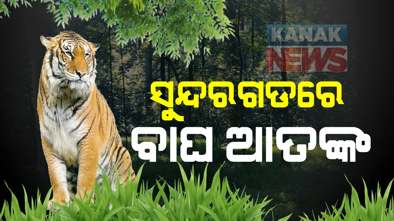  ସୁନ୍ଦରଗଡରେ ବାଘ ଆତଙ୍କ : ଆକ୍ରମଣରେ ୫ଜଣ ଆହତ, ହସ୍ପିଟାଲରେ ଭର୍ତ୍ତି, ହେମଗିରି ବନଖଣ୍ଡ ଅଂଚଳରୁ ପାଖ ରାମ୍ପିଆ ଗାଁକୁ ପଶି ଆସିିଥିବା ସୂଚନା; ବନବିଭାଗର ବାଘ ଖୋଜା ଅଭିଯାନ ଆରମ୍ଭ