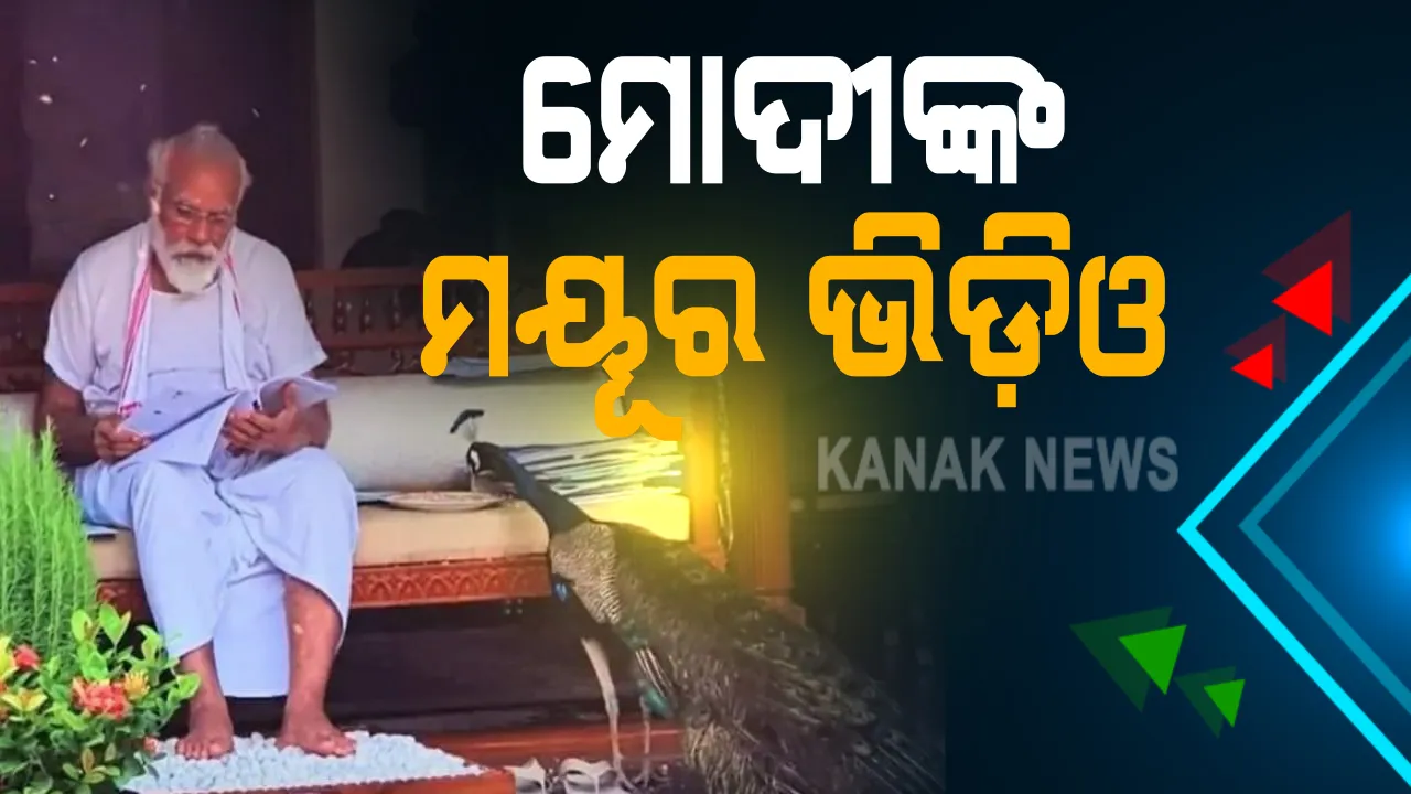  ସୋସିଆଲ ମିଡ଼ିଆରେ ଛାଇଗଲା ମୋଦୀଙ୍କ ମୟୂର ଭିଡ଼ିଓ । ପ୍ରଧାନମନ୍ତ୍ରୀ ବାସଭବନରେ ମୟୂର ସହ ବୁଲିଲେ ମୋଦୀ :  ଦାନା ଖୁଆଇଲେ, କବିତା ଲେଖି ସୋସିଆଲ ମିଡ଼ିଆରେ ପୋଷ୍ଟ କଲେ