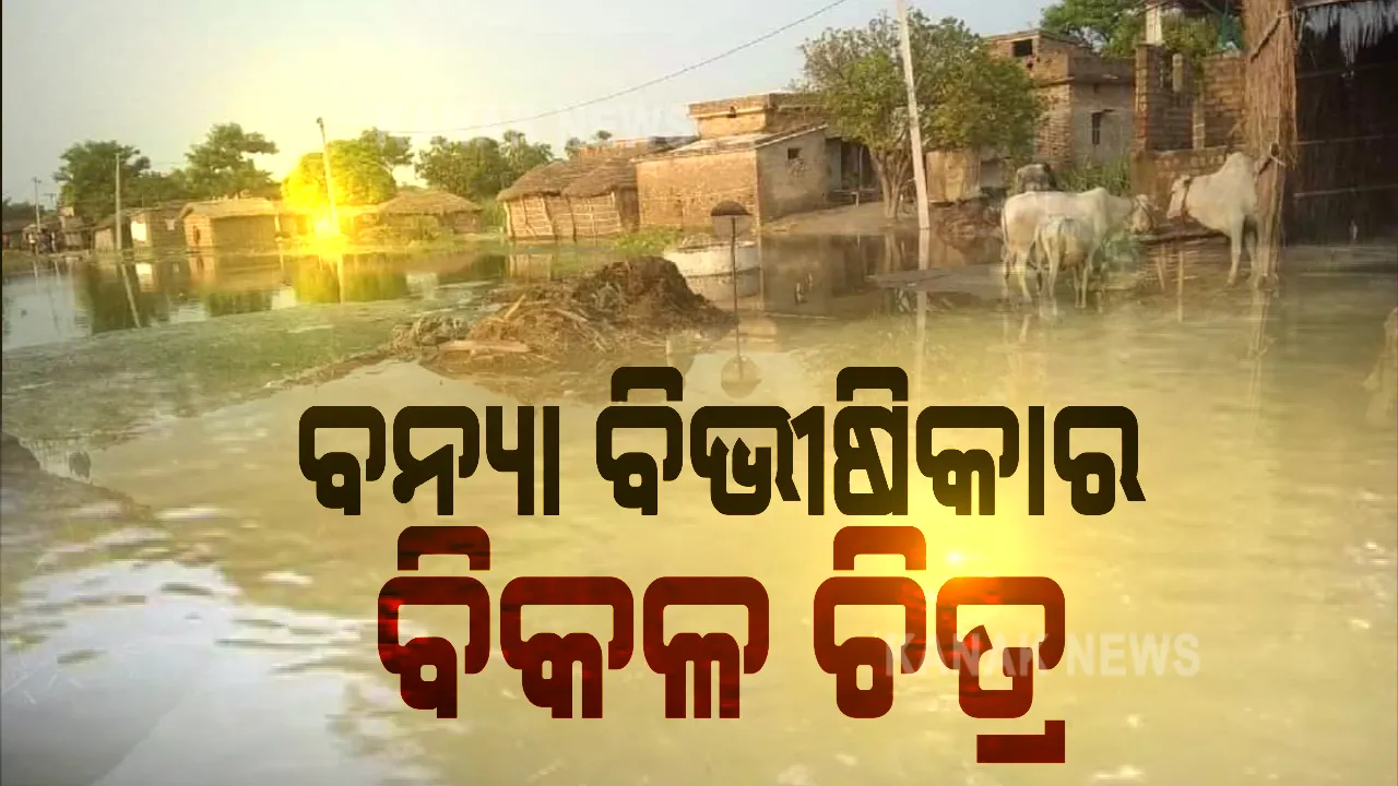  ବନ୍ୟାର ଆଁ ଭିତରେ ବାଙ୍କୀ । ଉବୁଟୁବୁ ହେଲା କେନ୍ଦ୍ରାପଡ଼ା, ପାଣିଘେରରେ ହଜାର ହଜାର ଲୋକ । ତିର୍ତ୍ତୋଲ ଓ ପାରାଦୀପରେ ଗାଁ ବୁଡ଼ିଯିବା ପରି ପରିସ୍ଥିତି । ଯାଜପୁର ବରୀରେ ସ୍ଥିତି ସଙ୍ଗୀନ, କଣାସରେ ୨୦୦ ଫୁଟର ଘାଇ