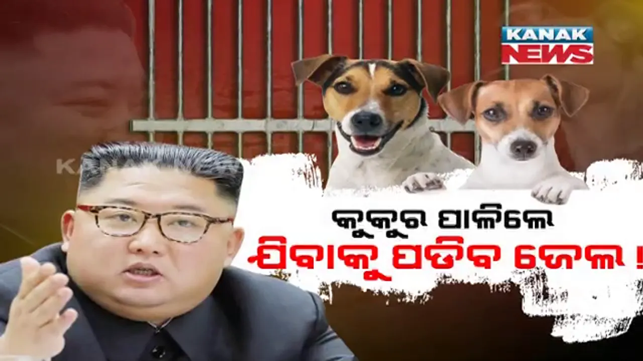  ଏକଛତ୍ରବାଦୀ ରାଷ୍ଟ୍ରପତି କିମ୍ ଜୋଙ୍ଗ୍ ଆଣିଲେ ଅଜବ ନିର୍ଦ୍ଦେଶ : ଘରେ କୁକୁର ପାଳିପାରିବେନି ଲୋକ , କୁକୁର ପୋଷିଲେ ସରକାର ଦେଖାଇବେ ଥାନାର ଦୁଆର