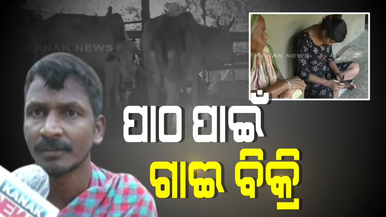  ଝିଅ ପଢ଼ିବ ଅନଲାଇନ୍ ପାଠ, ଗାଈ ବିକି ସ୍ମାର୍ଟଫୋନ୍ କିଣିଲେ ବାପା । ଅନଲାଇନ ପାଠପଢାର ଅସଲ ଚିତ୍ର, ମୋବାଇଲ୍ କିଣିଲା ପରେ ବି ହୋଇପାରୁନି ଝିଅର ପାଠପଢ଼ା, ଟେଲିଫୋନ୍ ନେଟୱାର୍କ ସୃଷ୍ଟି କରୁଛି ସମସ୍ୟା ।