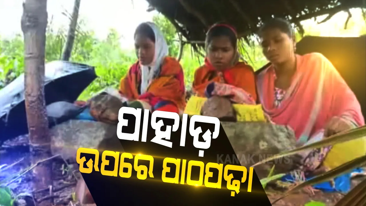  ଉପାନ୍ତ ମାଲକାନଗିରି ଜିଲ୍ଲାର ବଣ୍ଡାଘାଟିରୁ ଆସିଲା ଅନଲାଇନ୍ ପାଠପଢ଼ାର ବିକଳ ଚିତ୍ର । ଗାଁରେ ଆସୁନିନେଟୱାର୍କ, ପାଠ ପାଇଁ ଚଢ଼ିବାକୁ ୪ କିଲୋମିଟର ପାହାଡ଼ : ପାହାଡ଼ ଉପରେ କୁଡ଼ିଆ ବାନ୍ଧି ପାଠ ପଢୁଛନ୍ତି ଡୁମୁରିପଡା ଗାଁର ୫ ଜଣ ଛାତ୍ରୀ