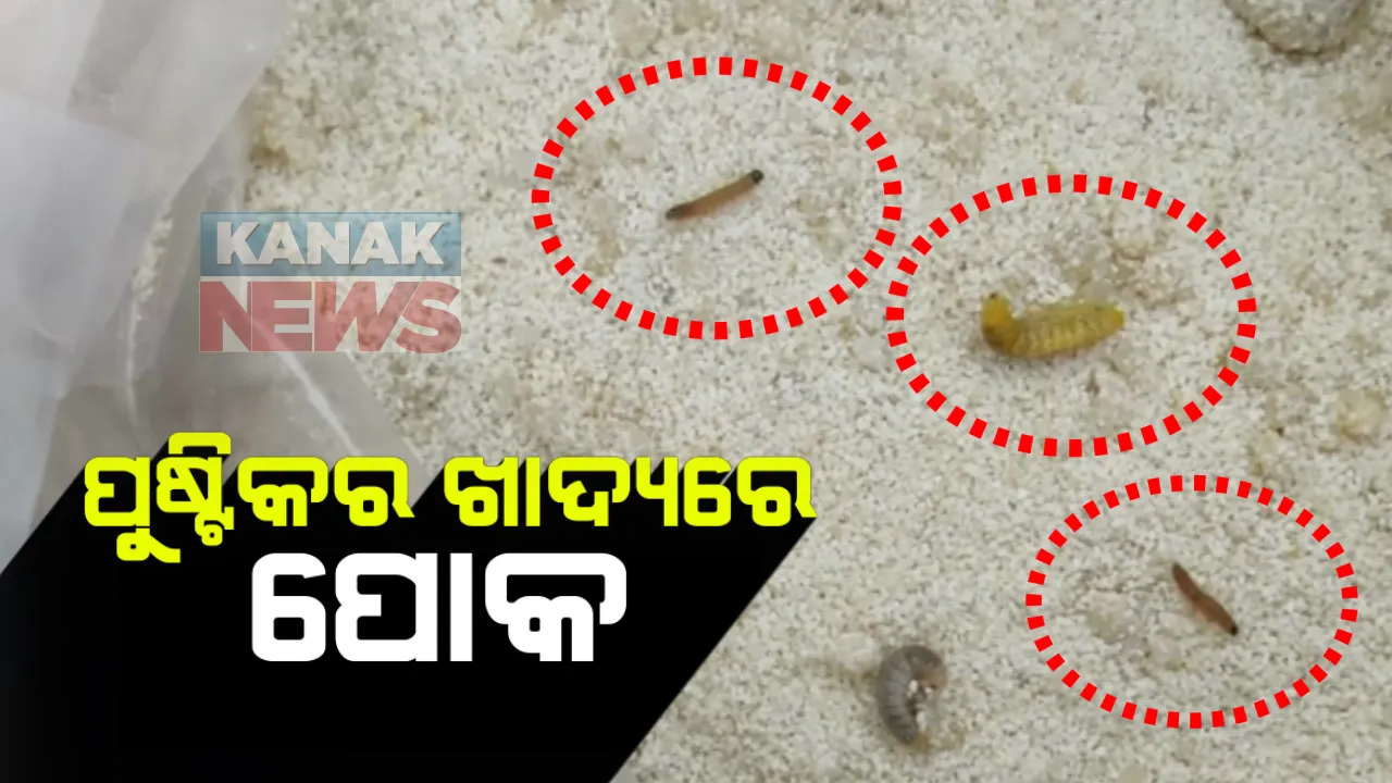  ପୁଷ୍ଟିକର ଖାଦ୍ୟରେ ପୋକ । ଅପପୁଷ୍ଟି ଦୂର କରିବା ନାଁରେ କୋମଳମତି ଶିଶୁଙ୍କୁ ଦିଆଯାଉଛି ପୋକ ସାଲୁବାଲୁ ଖାଦ୍ୟ । ଆଦିବାସୀ ବହୁଳ ଦେବଗଡରୁ ଆସିଲା ସାଂଘାତିକ ଅଭିଯୋଗ