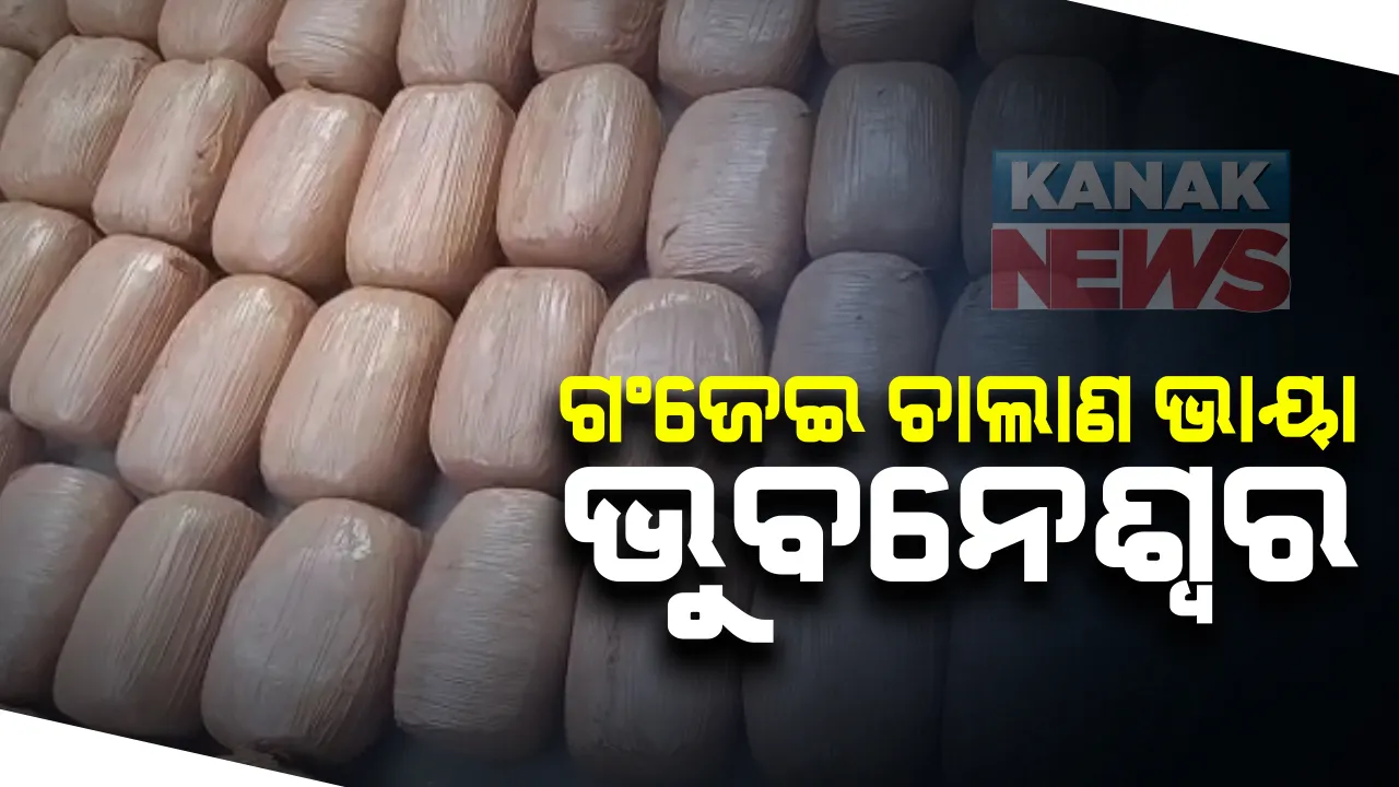  ଗଂଜେଇ ଚାଲାଣ ଭାୟା ଭୁବନେଶ୍ୱର : ଭରତପୁର ଅଂଚଳରୁ ବସ୍ତା ବସ୍ତା ଗଞ୍ଜେଇ ଜବତ, ଗାଡିରେ ଚାମ୍ବର କରି ଆସୁଥିଲା ଗଞ୍ଜେଇ; ଜଣେ ଗିରଫ, ଚେର ରାଜ୍ୟ ବାହାରକୁ ଲମ୍ବିଥିବା ସନ୍ଦେହ