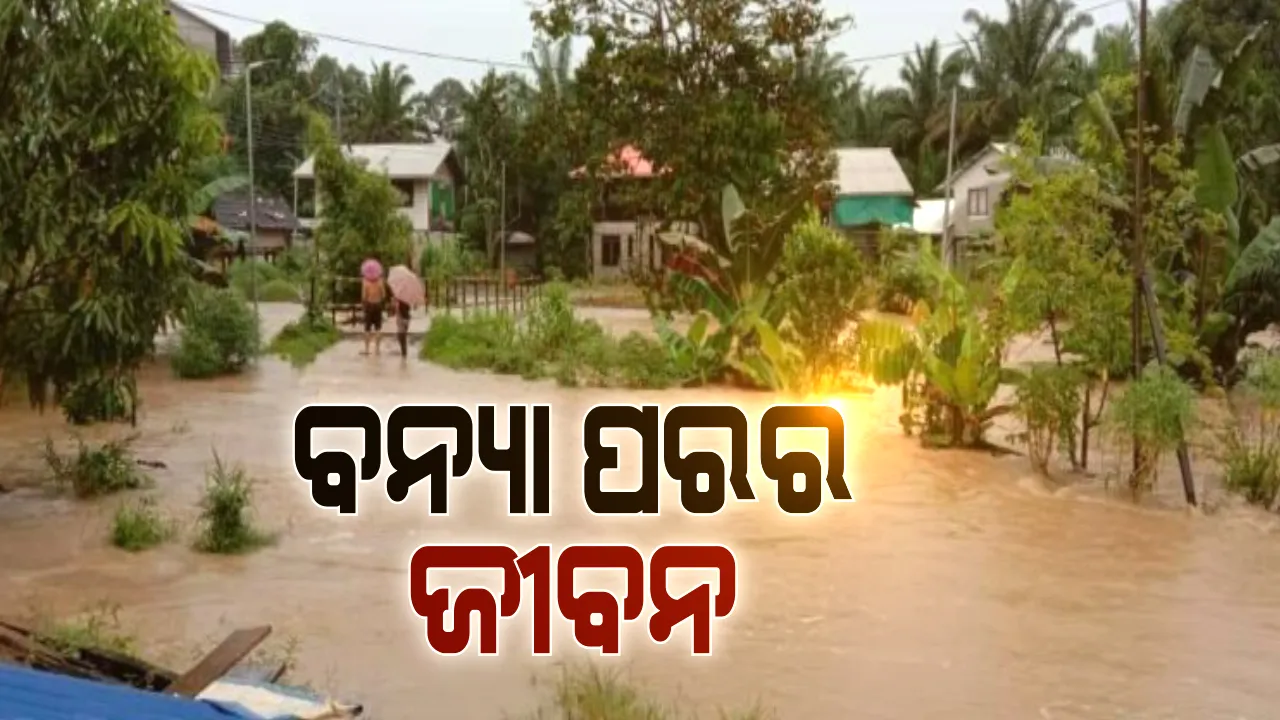  ବନ୍ୟା ଚାଲିଗଲା ଦୁଃଖ ଛାଡ଼ି ଗଲା: ପୁରୀ କୋଣାର୍କ ଏବଂ ଯାଜପୁର ଧର୍ମଶାଳାରୁ ଆସିଲା ପାଣି ପରର ଦୟନୀୟ ଚିତ୍ର; ପାଣିରେ ବୁଡ଼ି ରହିଛି ଚାଷ, ନଷ୍ଟ ହେବାକୁ ବସିଲାଣୀ ଚାଷୀ ପରିଶ୍ରମ