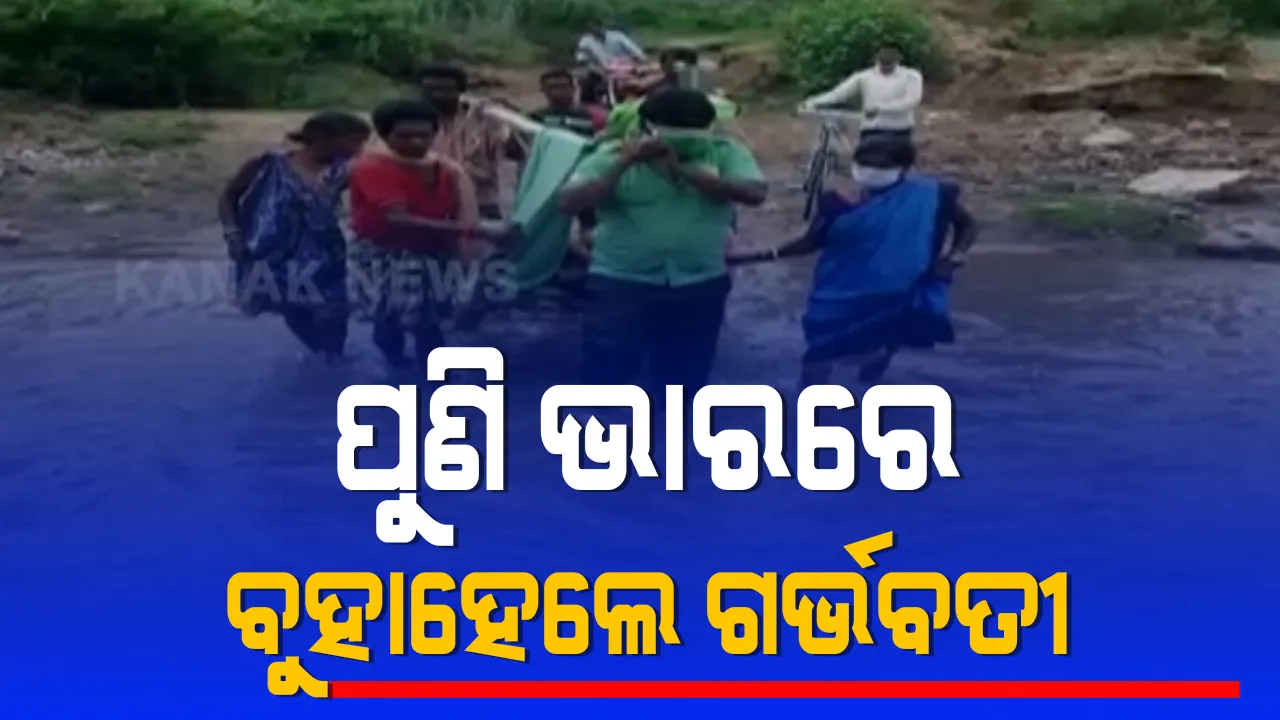  ବିକାଶର ନଗ୍ନ ଚିତ୍ର । ପୁଣି ସାମ୍ନାକୁ ଆସିଲା ଜନନୀ ଯନ୍ତ୍ରଣାର ଚିତ୍ର, ଗର୍ଭବତୀ ମହିଳାଙ୍କୁ ଭାରରେ ବୋହି ବୋହି ଆଣିଲେ ଡାକ୍ତରଖାନା