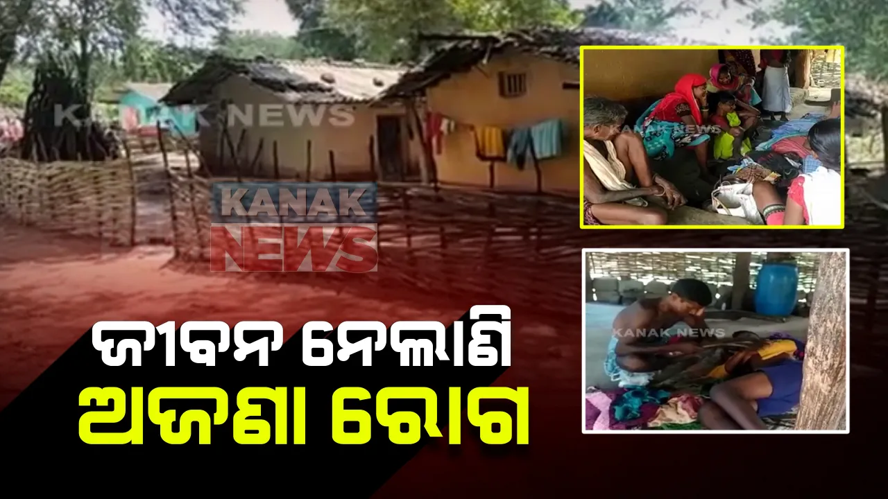  ମୁଣ୍ଡ ପରେ ମୁଣ୍ଡ ନେଉଛି ଅଜଣା ରୋଗ । ମାତ୍ର ୩୦ ଦିନ ମଧ୍ୟରେ ଗଲାଣି ୧୩ ଜଣଙ୍କ ଜୀବନ