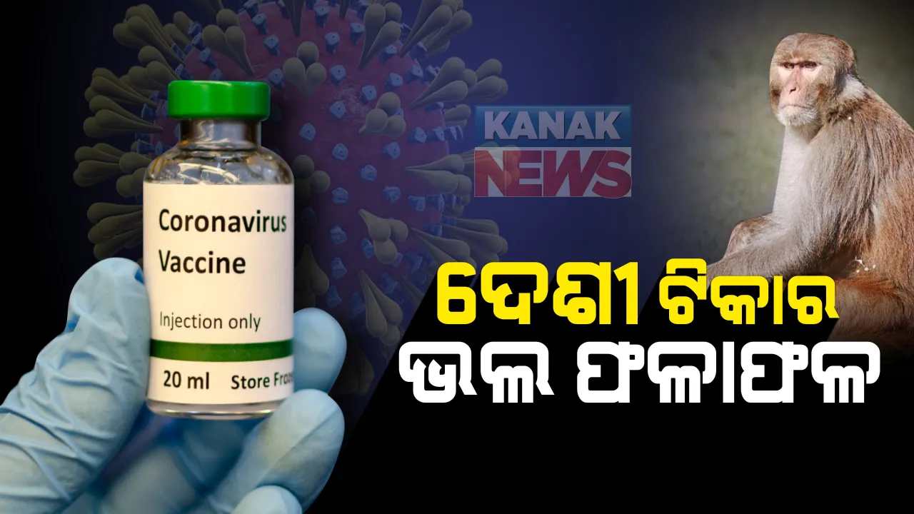  ପରୀକ୍ଷଣରେ ଦେଶୀ ଟିକା ପାସ୍: ପଶୁଙ୍କ ଦେହରେ ରୋଗ ପ୍ରତିରୋଧକ ଶକ୍ତି ସୃଷ୍ଟି କରିପାରୁଛି କୋଭାକ୍ସିନ୍; ଟୁଇଟ୍ କରି ସୂଚନା ଦେଲା ଭାରତ ବାୟୋଟେକ