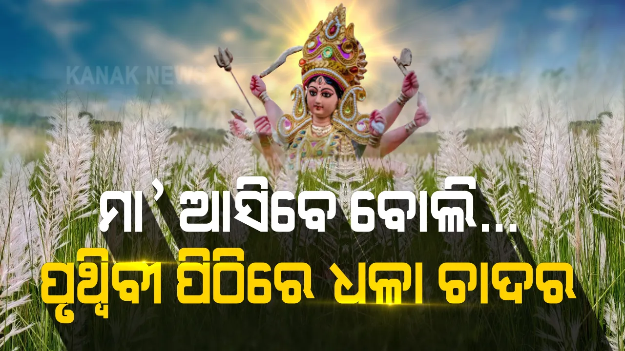  ମା' ଆସିବେ ବୋଲି... ଧରଣୀରାଣୀ ଘୋଡ଼େଇ ହୋଇଛି ଧଳା ଚାଦର । ଶରତ ଋତୁର ପହିଲି ଛୁଆଁ, କବି ତୁଣ୍ଡେ କାଶତଣ୍ଡୀ କରୁଛି କିମିଆ...