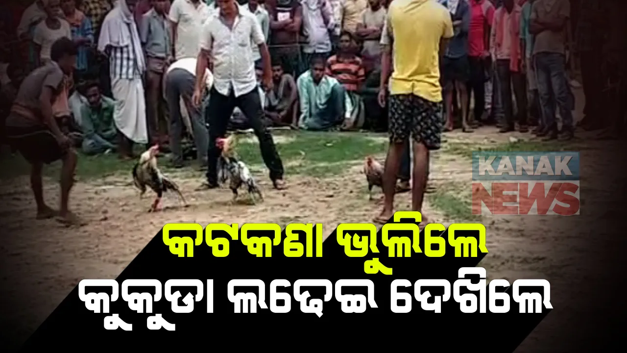  କରୋନା କଟକଣାକୁ ଭୁଲିଗଲେ ଲୋକେ । ବିନା ମାସ୍କ ଓ ସାମାଜିକ ଦୂରତାରେ କୁକୁଡା ଲଢେଇ ଦେଖିଲେ ଶତାଧିକ ଲୋକ
